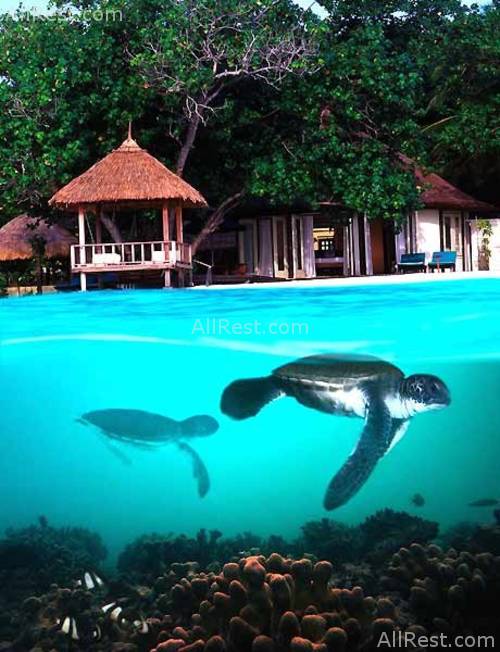 Banyan Tree Maldives Vabbinfaru 26